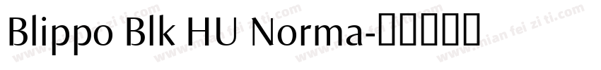 Blippo Blk HU Norma字体转换